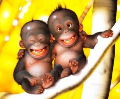 Tantan and
Vaibhav: Who is who?